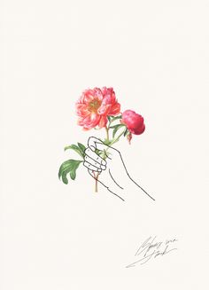 236x327 Drawings Of Hands Holding Flowers