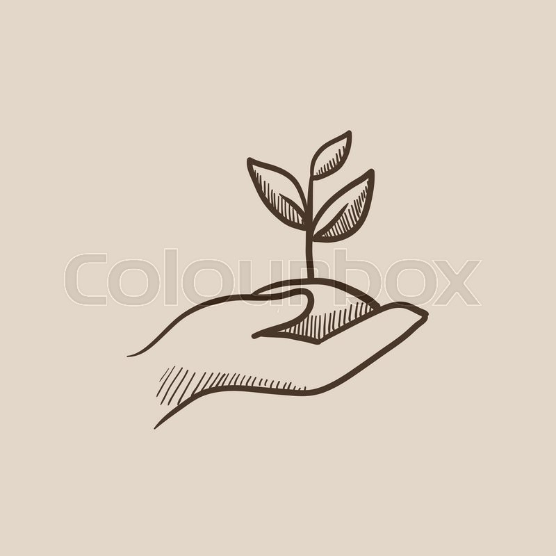 800x800 Hands Holding Seedling In Soil Sketch Icon For Web, Mobile