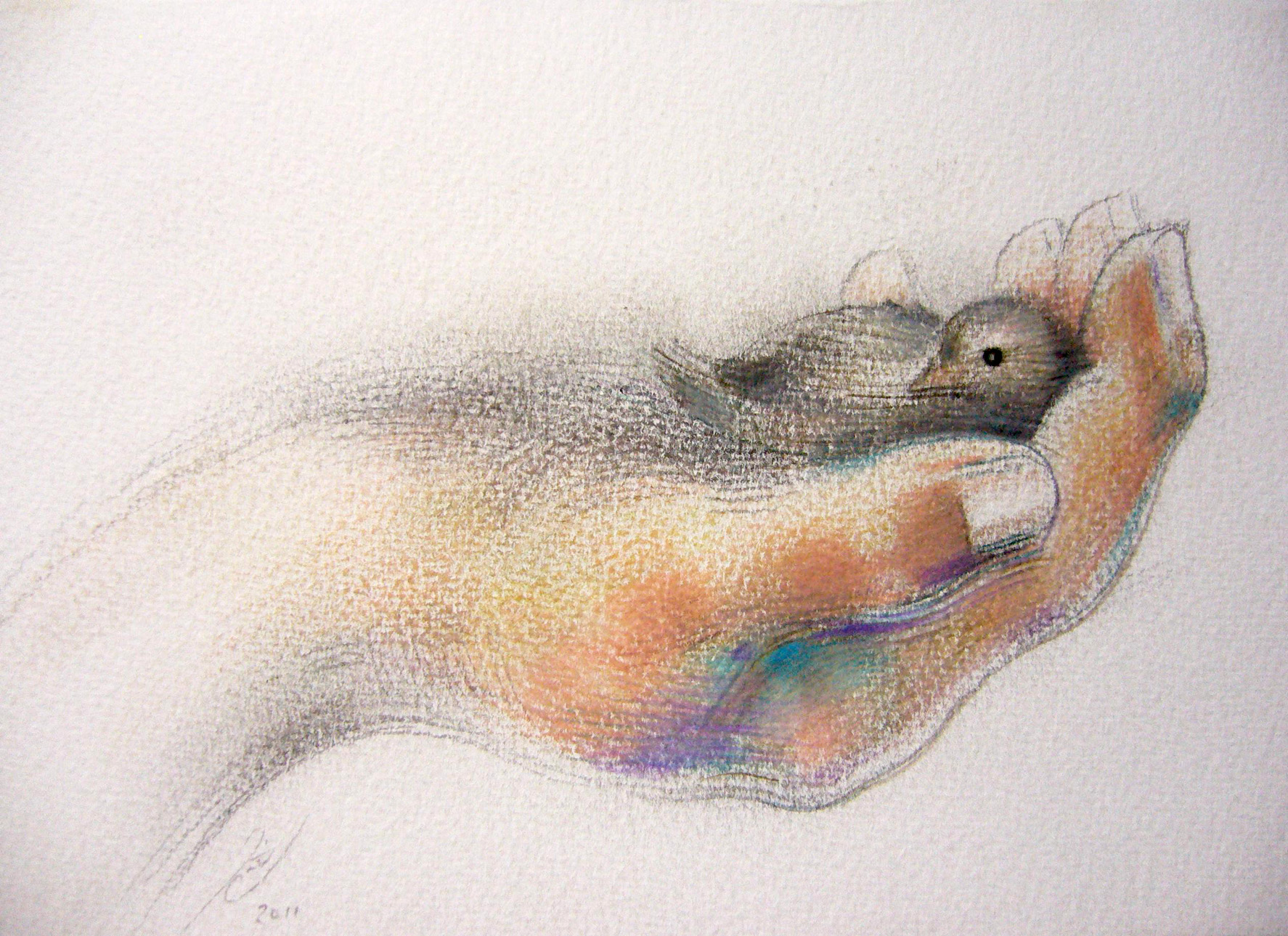 1774x1289 Bird In The Hand (Drawing) Jaimie Cahlil Broadcanvasgallery