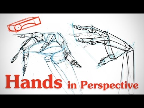 480x360 Drawing Hands In Perspective Hand Bone Critiques Proko