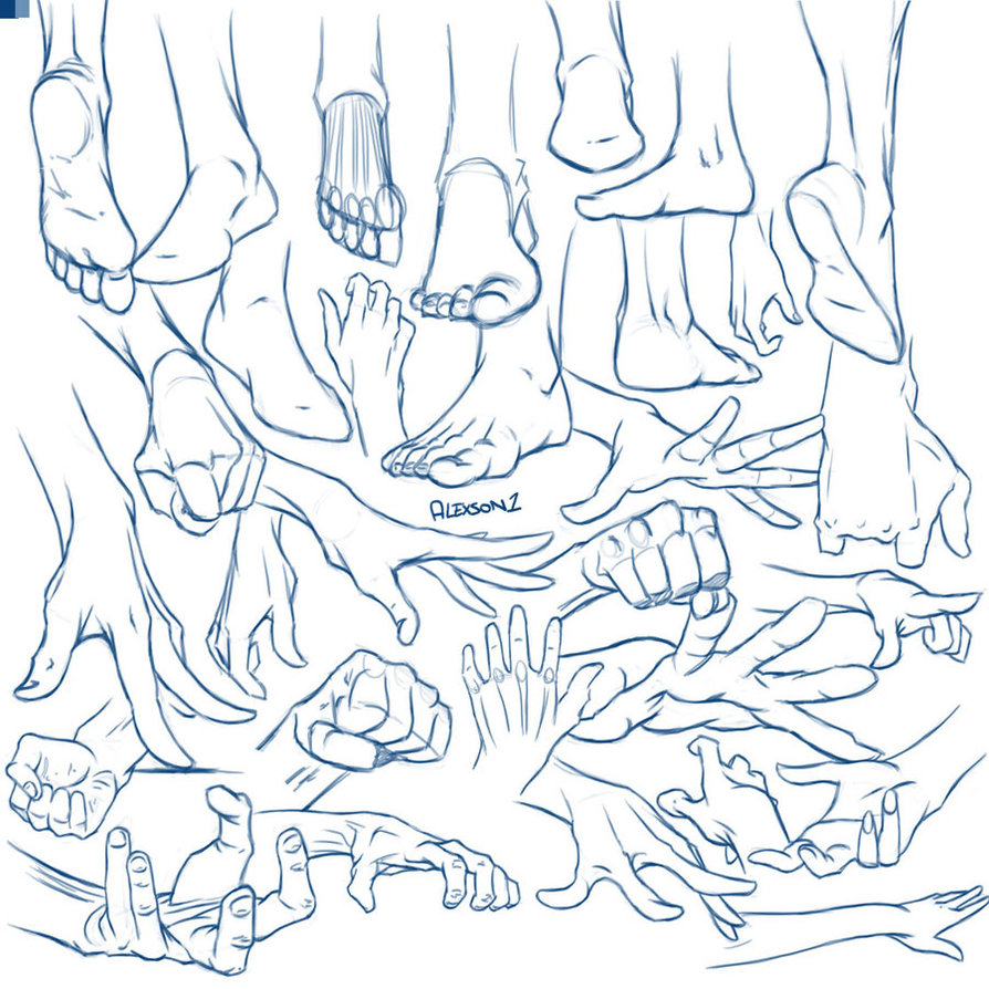 894x894 Hands And Feet By Alexson1