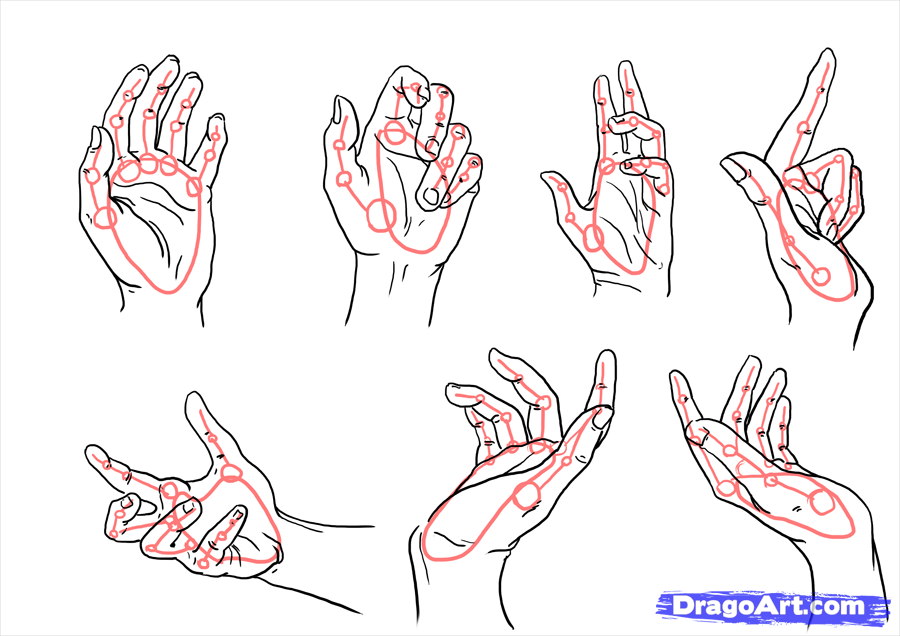 900x636 How To Draw Hands All Positions How To Drawings