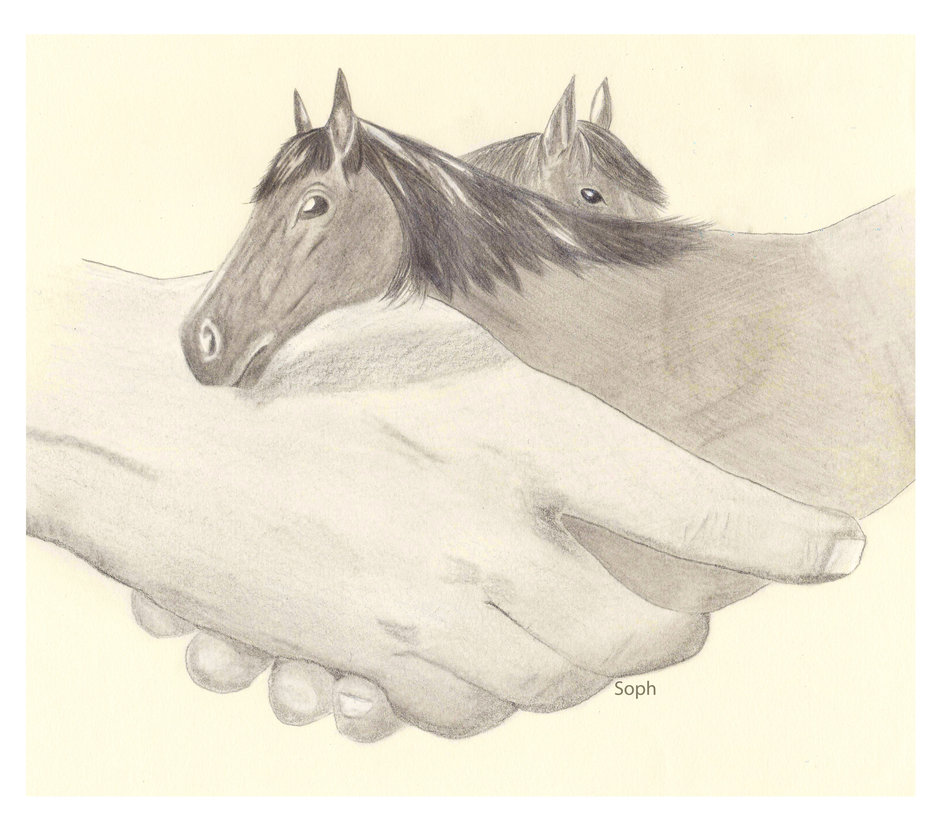 952x839 Horse Handshake