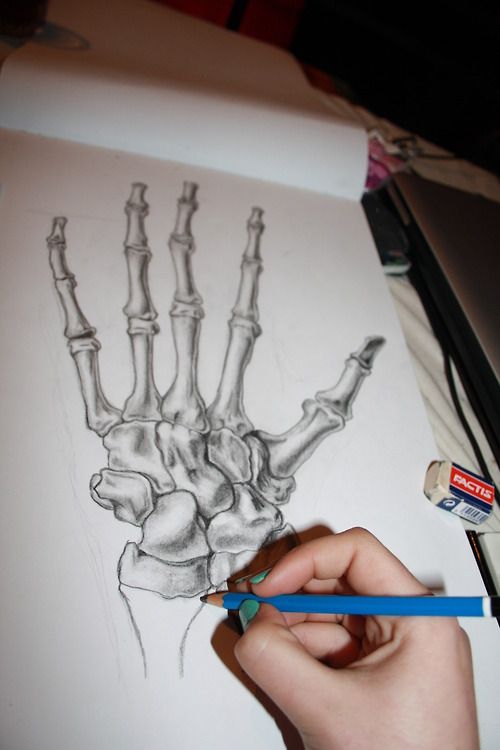 500x750 Skeleton Hand Drawing Artlt3 Hand Drawn, Skeletons