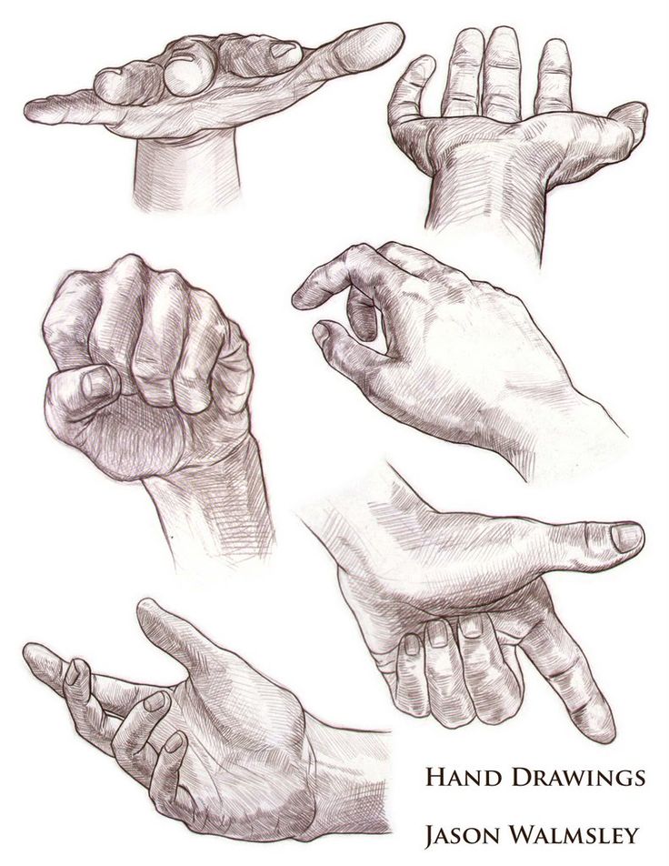736x952 Photos Hands Sketch,