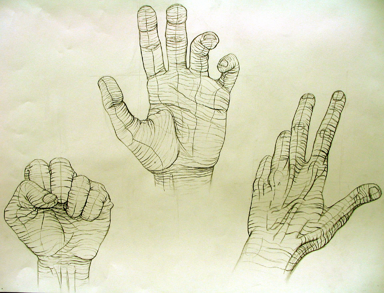 768x586 Cross Contour Hand Study 1 By Nosurprises