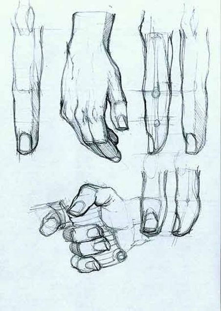 452x637 Hand Drawing Reference Drawing References And Resources Scoop