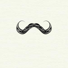 240x240 Moustache