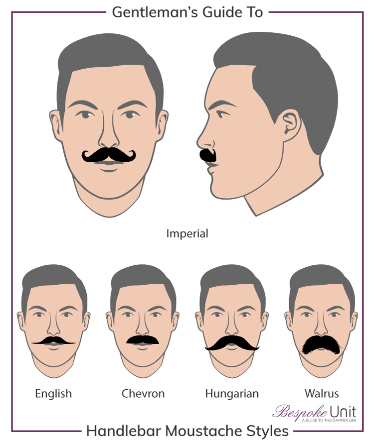 750x886 What Are Imperial Amp Handlebar Moustaches How To Grow Amp Style One