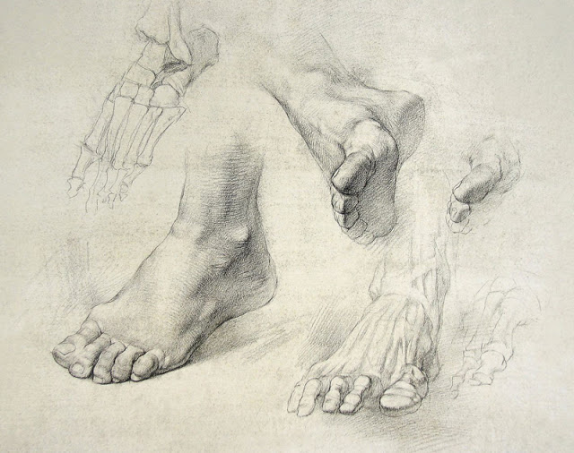 640x506 Hands Amp Feet Drawing Intensive 2 Mondays December 2017 Alia