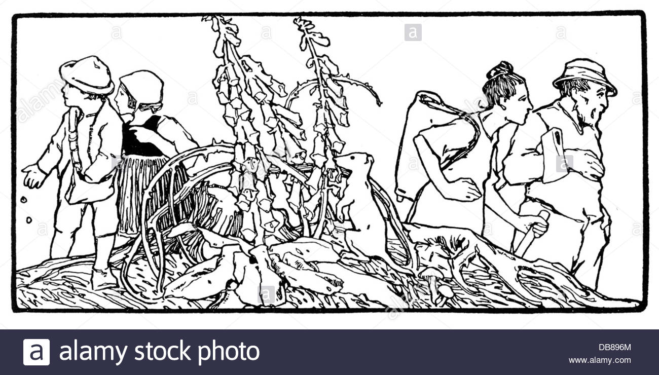 1300x740 Literature Fairytale Grimm Brothers Hansel And Gretel Abandoned By