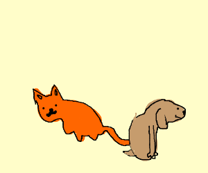 300x250 Overweight Cat And Happy Dog