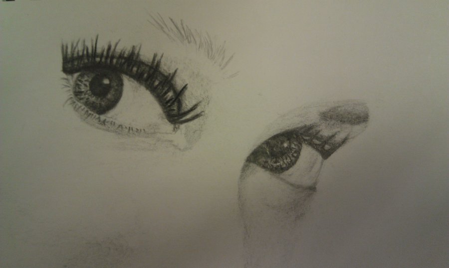 900x538 Drawing Eyes