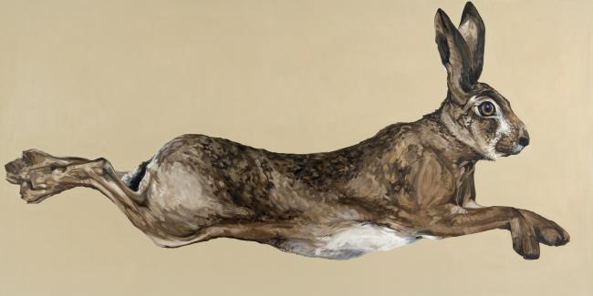 Hare Drawing at GetDrawings | Free download