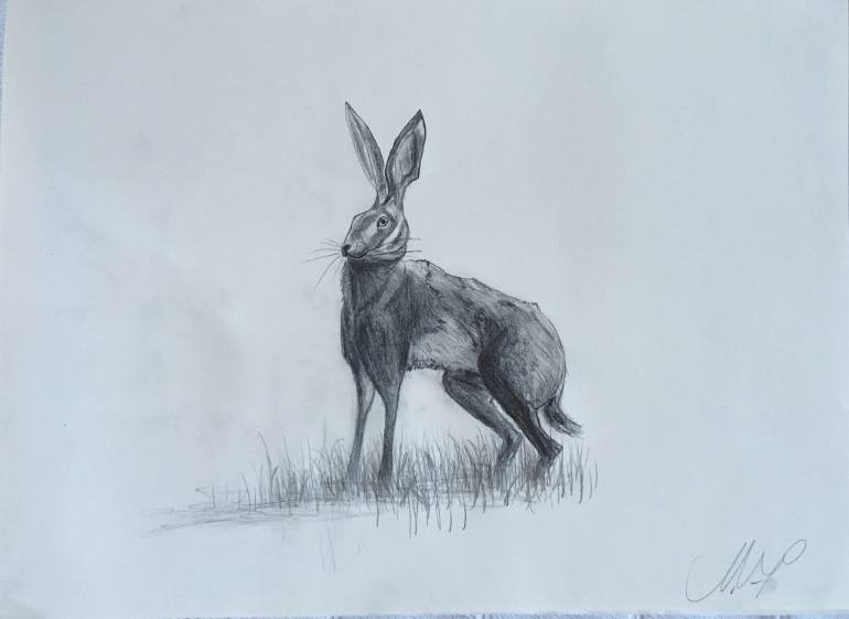 770x561 Saatchi Art Hare (I Know It's Not Durer
