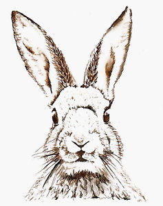 237x300 Vintage Print Poster Rabbit Hare Large Art Drawing For Glass Frame