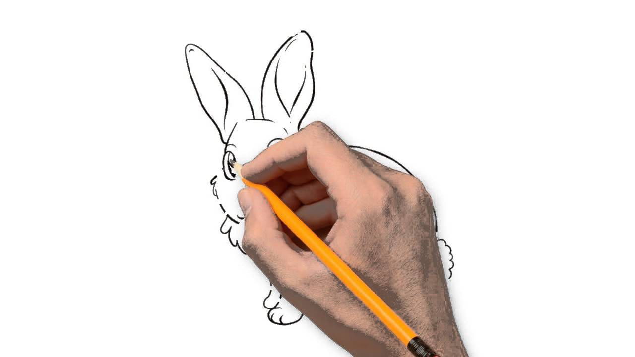 1280x720 Hare Animals Pencil To Draw Step By Step