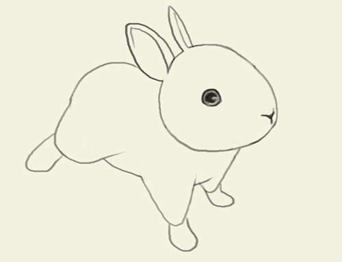 500x383 How To Draw Jackrabbits
