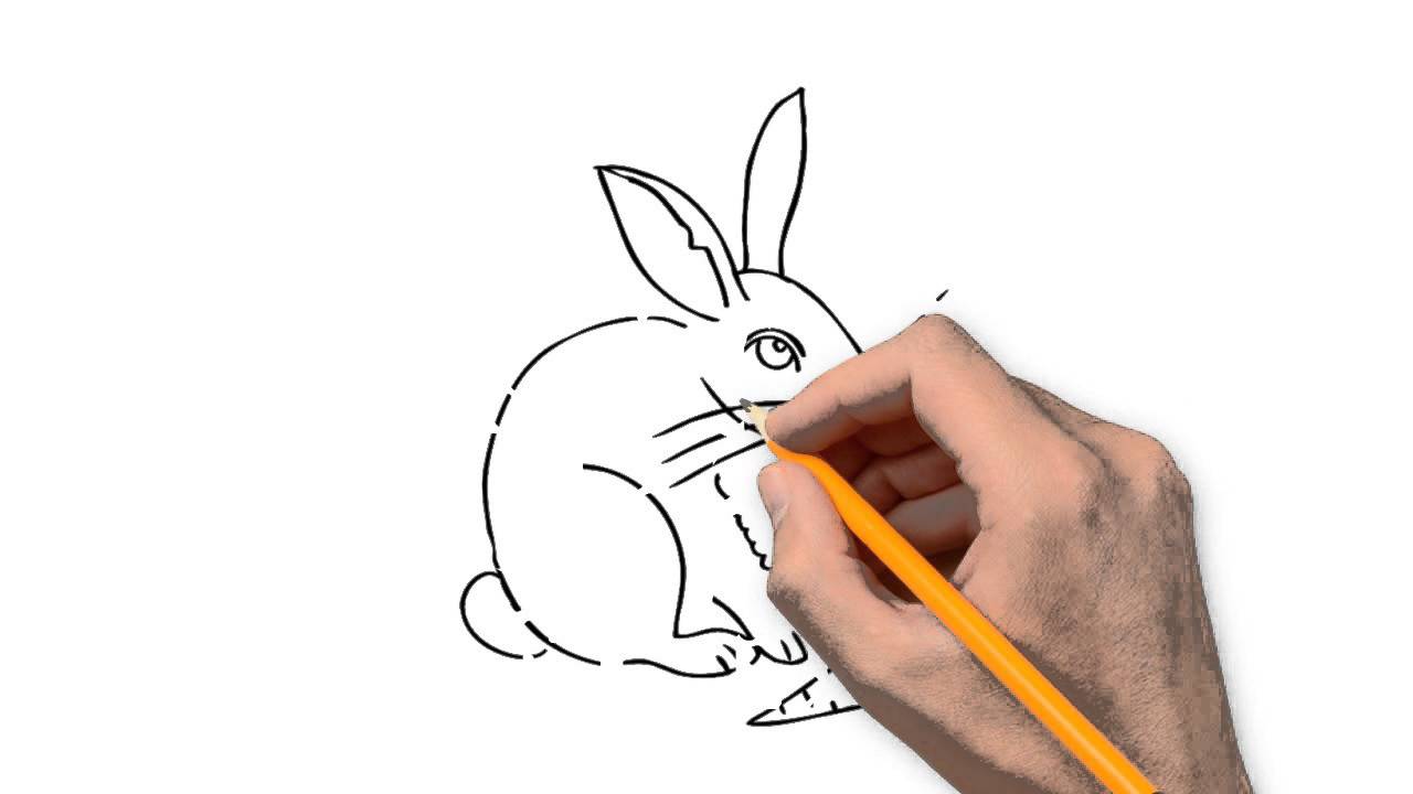 1280x720 Hare Animals Pencil To Draw Step By Step