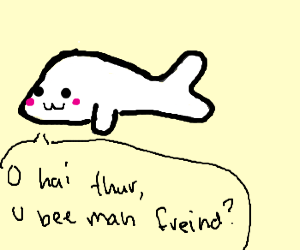 300x250 Lazy Harp Seal Has No Money