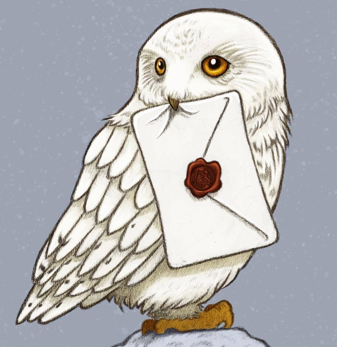 Albums 105+ Wallpaper What Is The Owl's Name In Harry Potter Superb