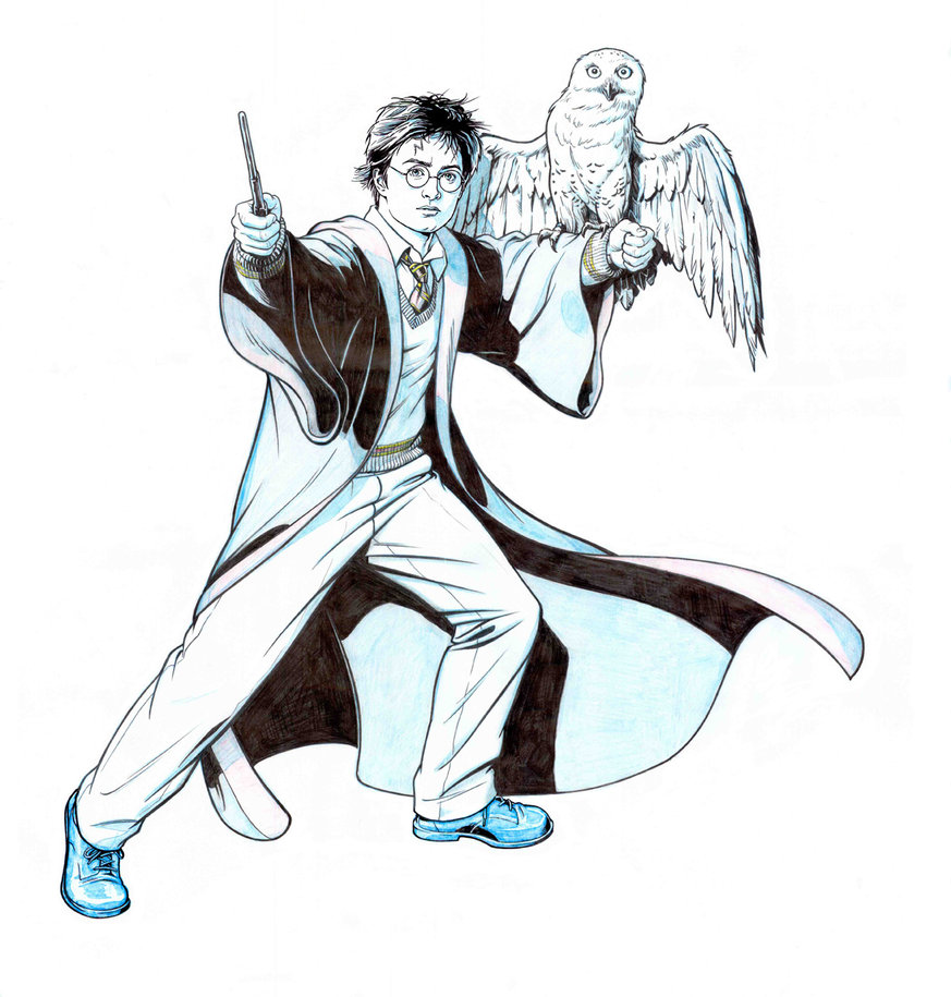 873x915 Harry Potter And Hedwig By Jerome K Moore