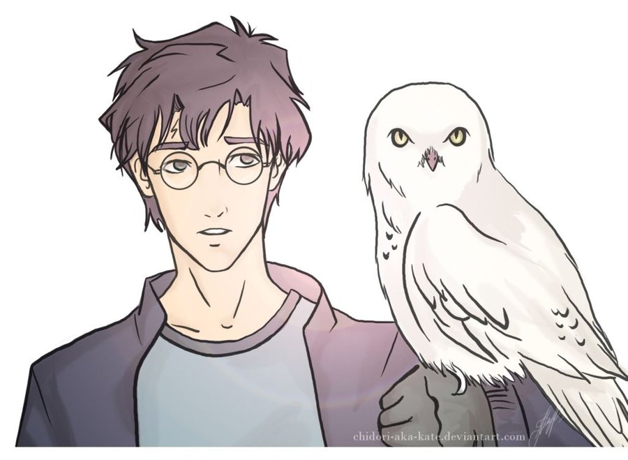 900x659 Harry And Hedwig By Chidori Aka Kate