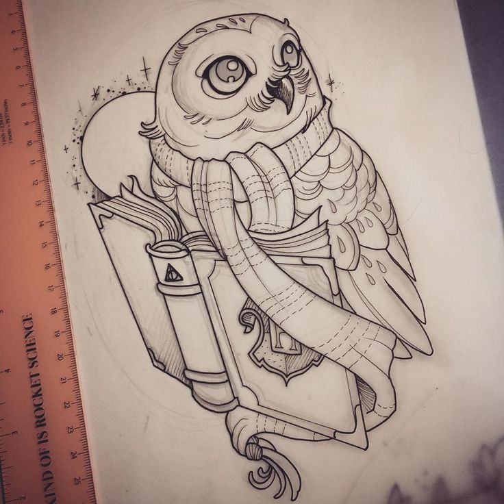 Harry Potter Owl Drawing at GetDrawings.com | Free for personal use