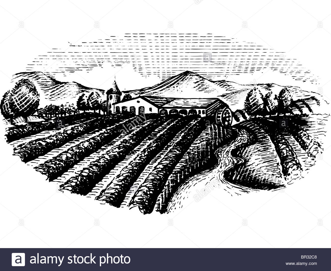 1300x1065 A Black And White Drawing Of A Farmland Ready For Harvest Stock