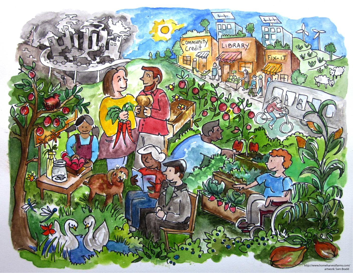 1408x1089 Home Harvest Farms Illustration