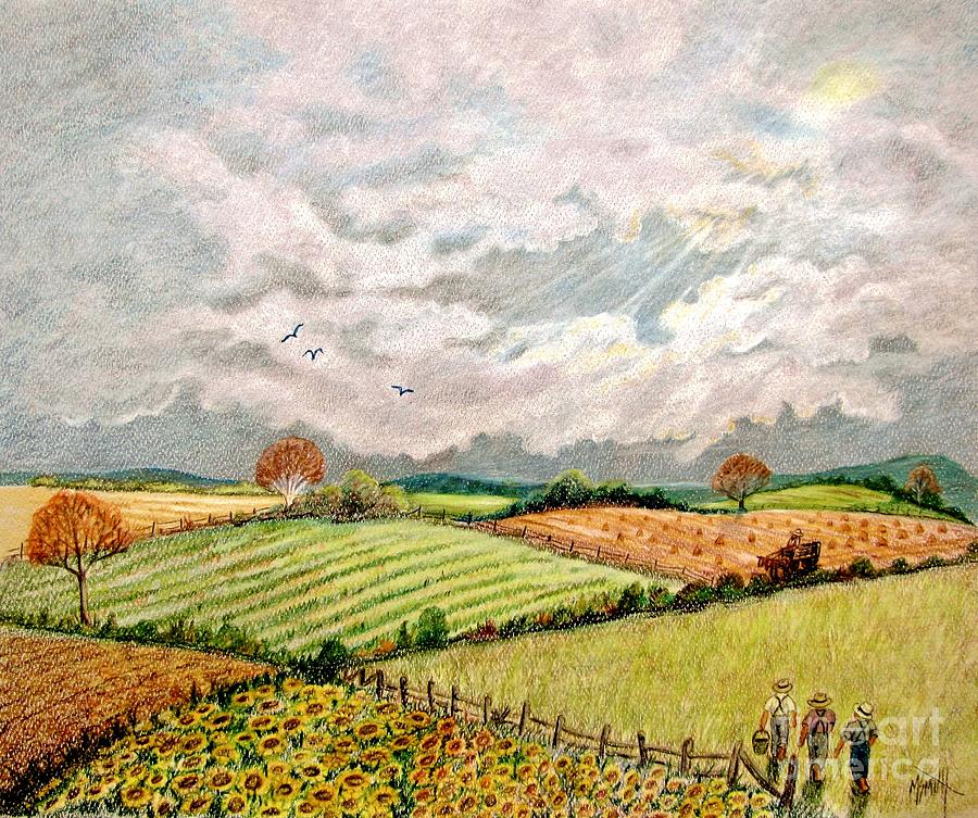 900x753 Summer Harvest Drawing By Marilyn Smith