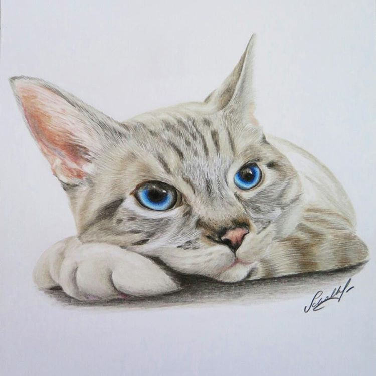 750x750 Schalkowski31's Most Interesting Photos Picssr