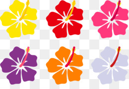 260x180 Free Download Hawaiian Flower Drawing Clip Art