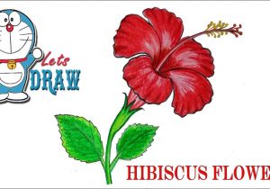 300x210 Hawaiian Flower Drawing Drawn Hibiscus Hawaii Flower