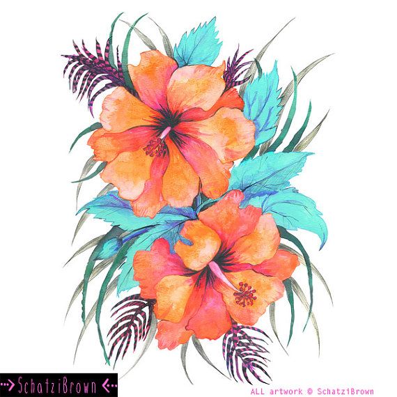 570x570 Orange Hibiscus Art Print By Schatzibrown By Schatzibrown