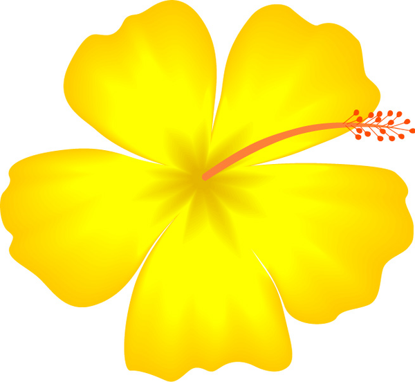 600x552 Yellow Hibiscus Hawaii State Flower Free Images