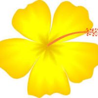 200x200 Hawaiian Flower Vector