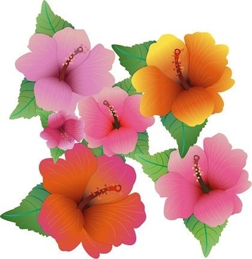 358x368 Hibiscus Flower Drawing Free Vector Download (97,851 Free Vector