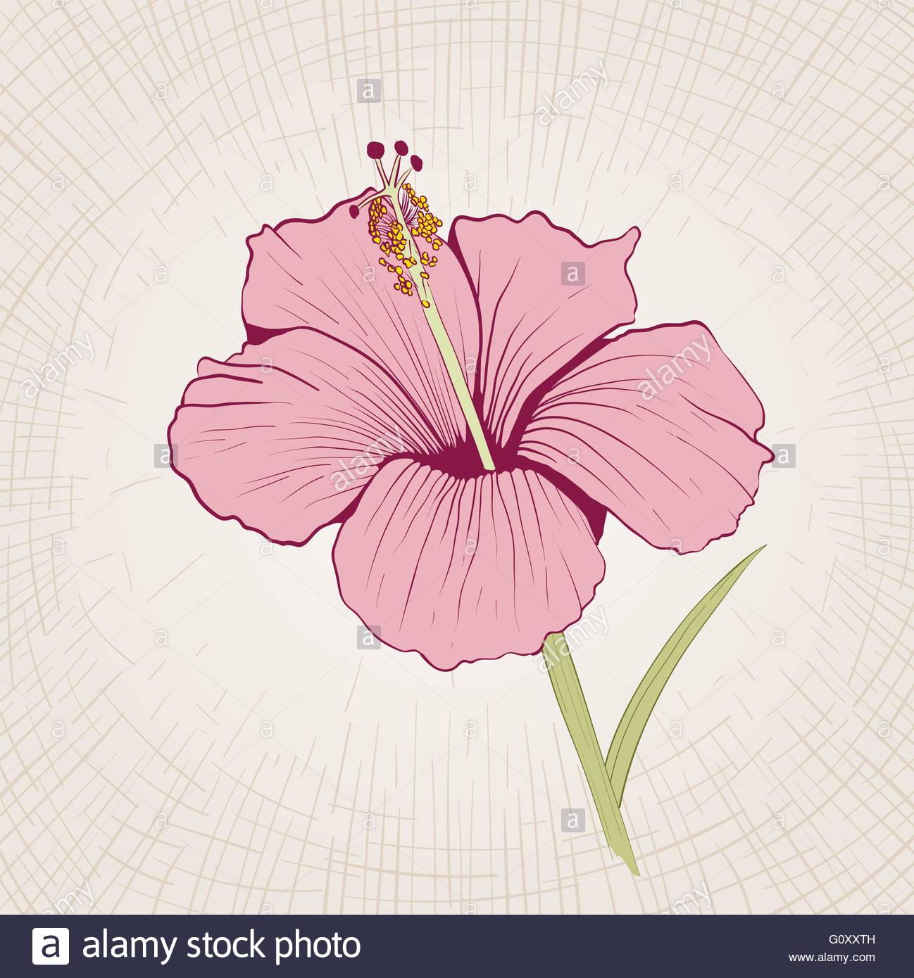 1298x1390 Vector Hand Drawn Hibiscus Flower. Global Color Cmyk Stock Vector