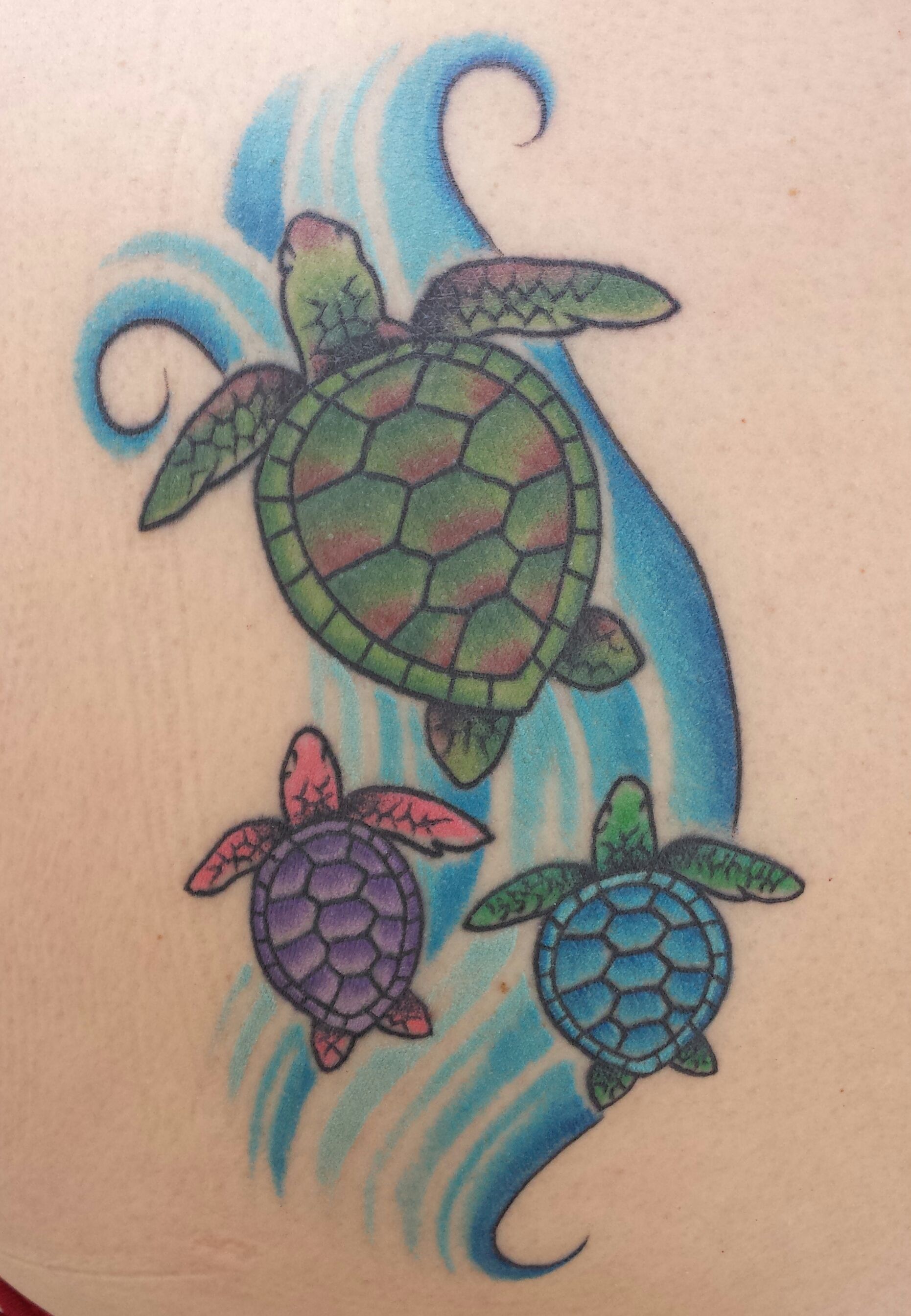 Sea turtle drawing - inrikopublications