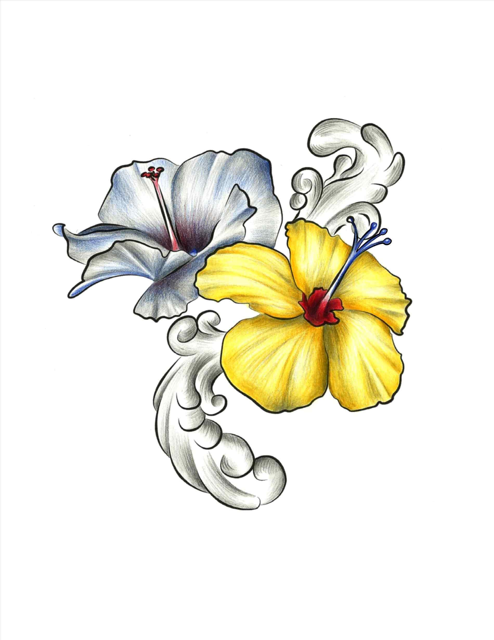 1900x2458 Drawings Of Hawaiian Flowers Your Meme Source