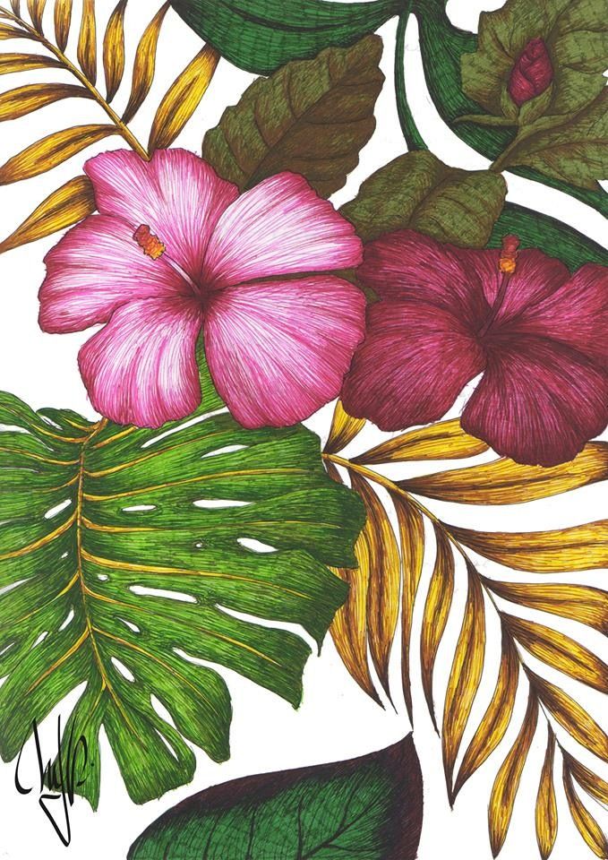 679x960 Aloha Hand Drawn Hawaian Flowers Staedtler Pens @mjrart Pink