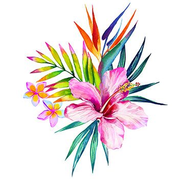 350x350 Hibiscus Flower Tattoos Hibiscus Tattoo, Hawaiian Flower Tattoos
