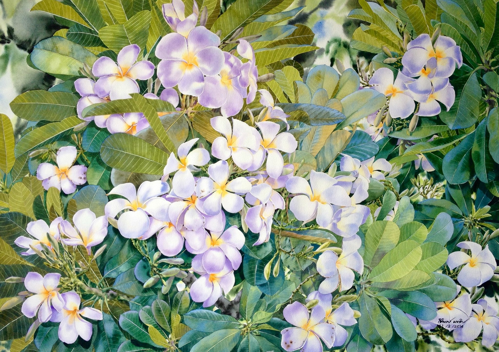 2048x1446 Pin By C Chan On Art Amp Pattern Art Patterns