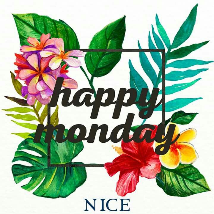 720x720 Pin By Yi Ting Wu On Design Wallpaper And Watercolor