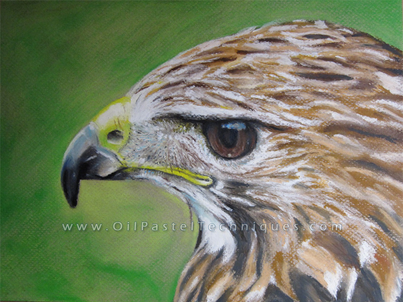 800x600 Oil Pastels Demonstration