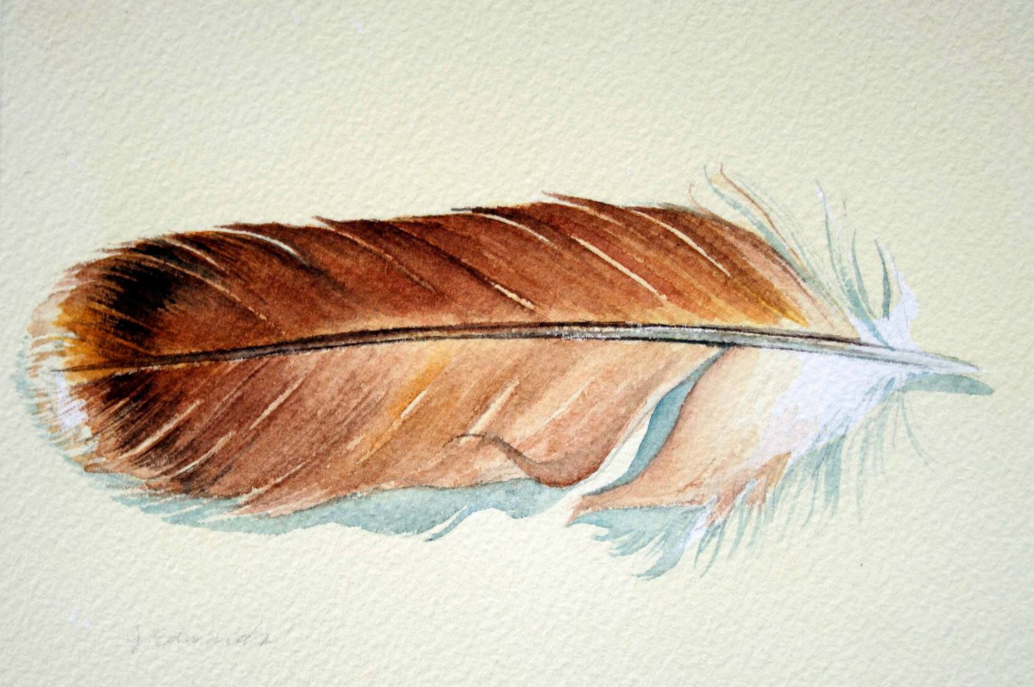 1500x996 Hold For Shane9 Feather 151