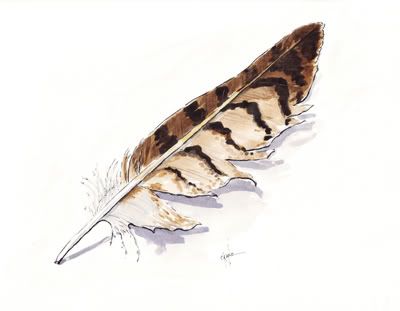 400x311 Feather Paintings Step By Step Watercolor Demonstration