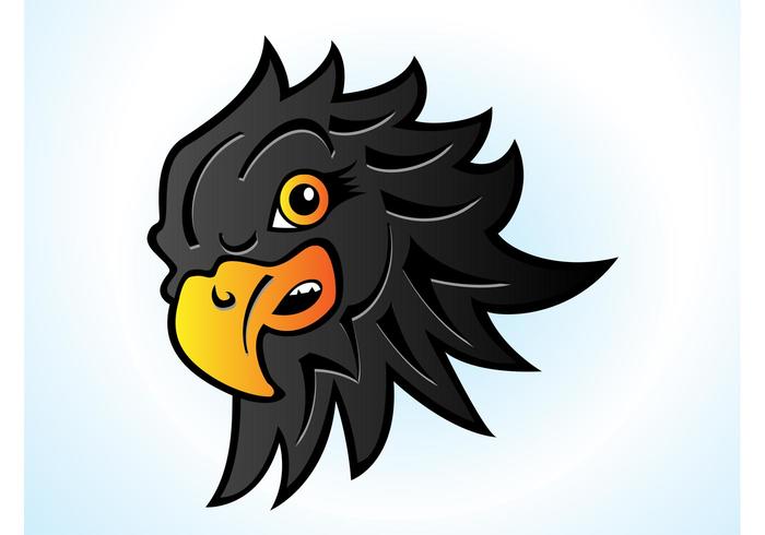 700x490 Hawk Head Cartoon