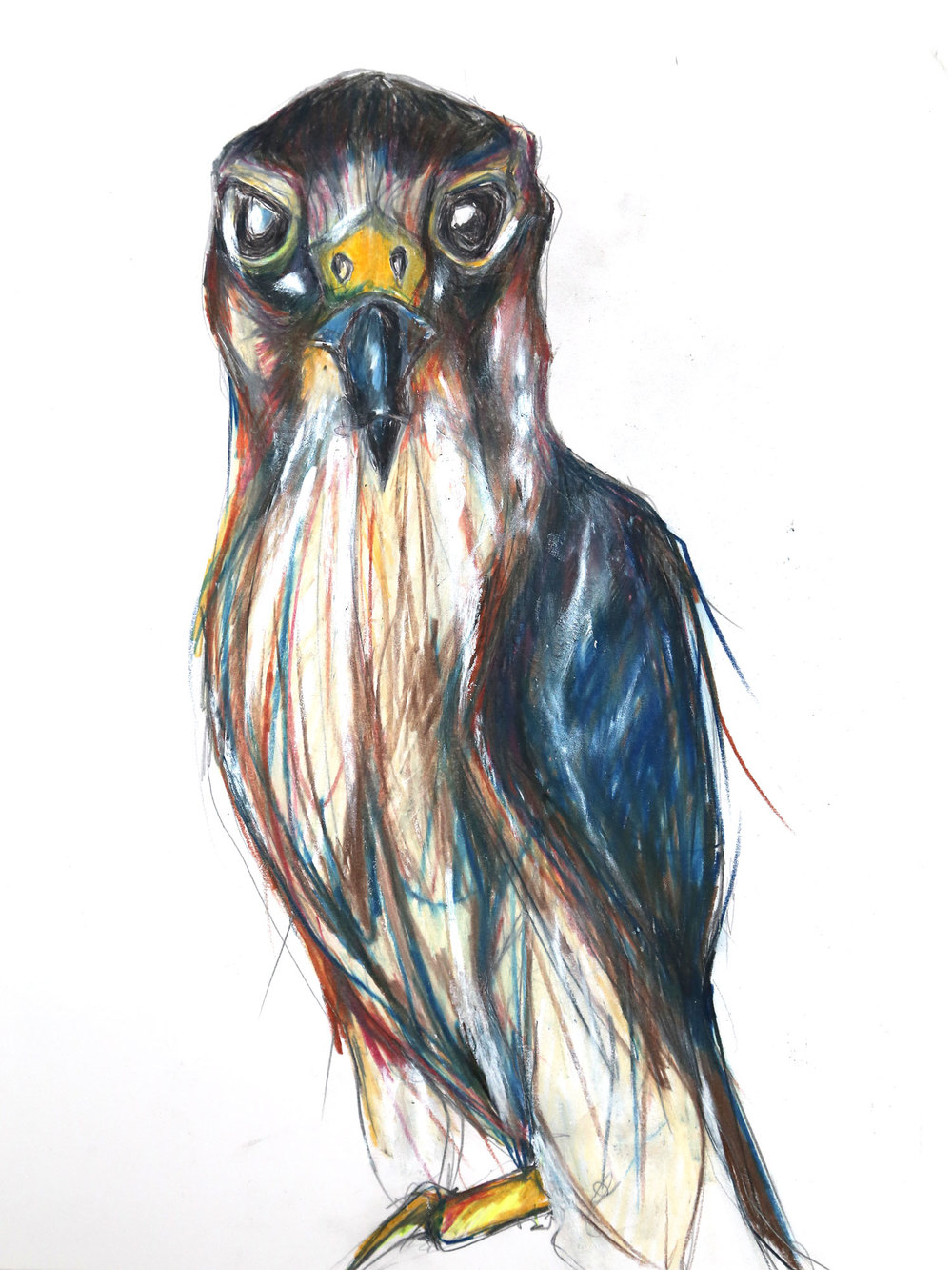 1000x1333 Portfolio Cassandra Petruchyk